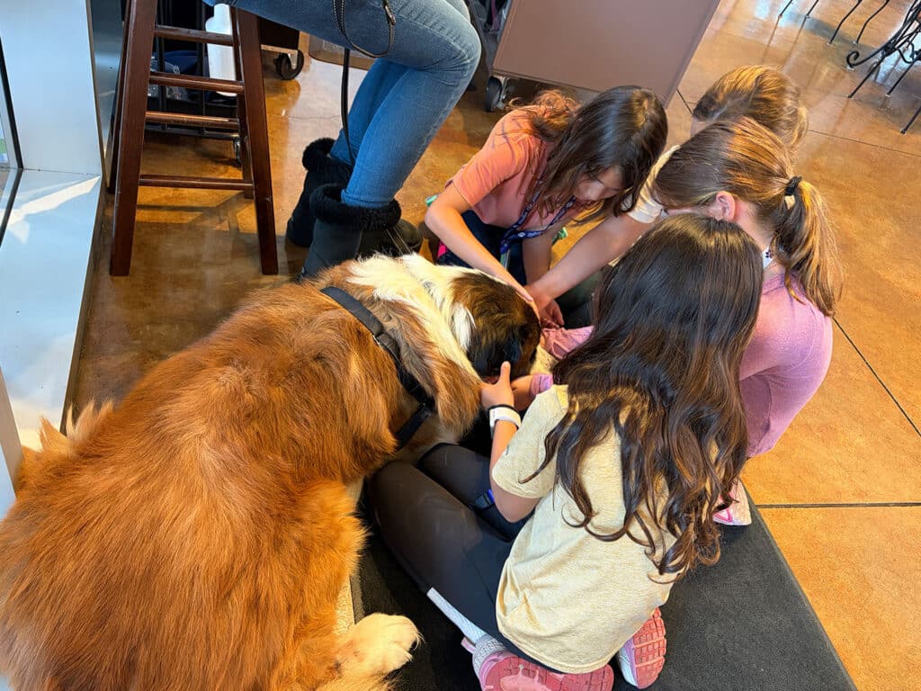 A large Saint Bernard dog lies on the floor while four girls crouch around it, gently petting its fur. The setting appears to be a cozy indoor space with warm lighting and minimal furniture visible in the background.