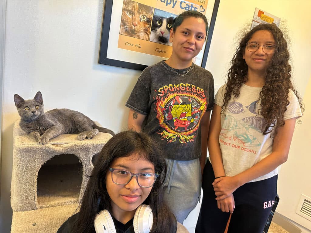 Three individuals stand together in a room, with a gray cat resting on a scratching post nearby. An older girl wears a black t-shirt and gray pants, while two younger girls, one in a white t-shirt and the other in a shirt with a graphic, stand beside her.