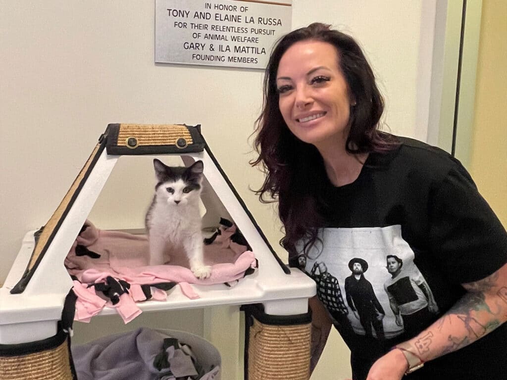 A woman with dark, wavy hair, wearing a black graphic t-shirt, stands next to a small, white kitten inside a pet carrier. The background features a light-colored wall and soft furnishings.