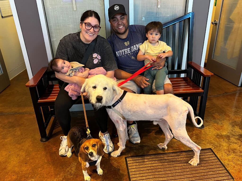 A woman holding a baby sits on a bench next to a man with a young child on his lap. In front of them is a white dog with a collar, and a small brown beagle is beside them. The setting features a warm interior with wooden accents.