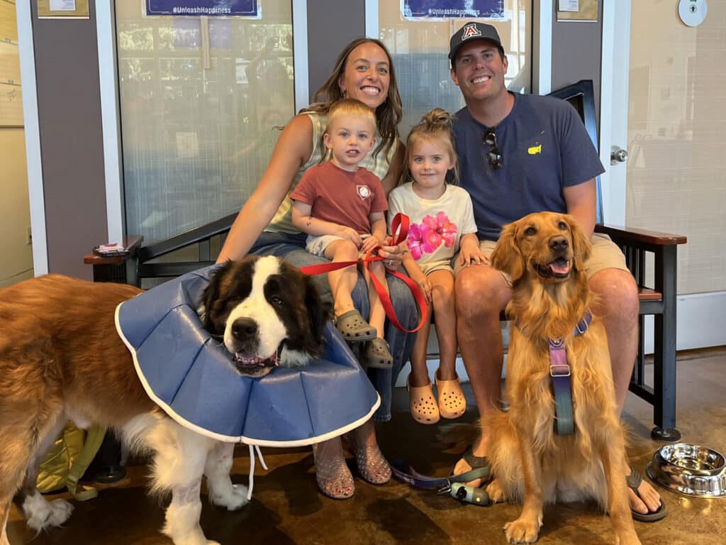 A family sits in a pet adoption center. The mother and father smile with their two children, one boy and one girl. A Saint Bernard wearing a blue cone collar is on the left, and a golden retriever is on the right, both enjoying the company.