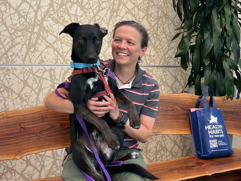 A woman wearing a striped polo shirt sits on a wooden bench, holding a black dog with a blue collar and red harness. The background features a green plant and a tote bag labeled 'HEALTHY HABITS FOR NEW PETS.'