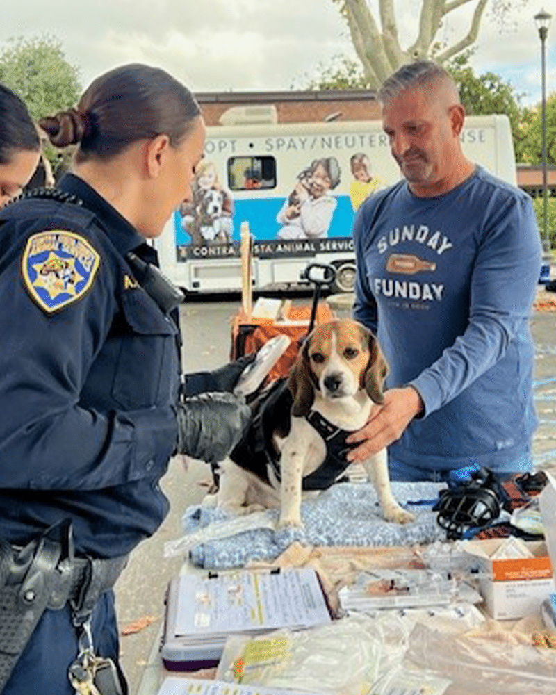 A police officer in a blue uniform holds a syringe while examining a beagle in a harness on a table. A man in a gray shirt stands beside the dog, watching the examination. In the background, an animal service vehicle and equipment are visible.