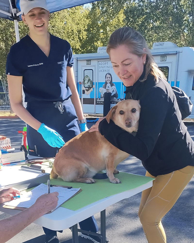 A woman holding a small dog stands near a table, while a veterinarian in a navy scrub top prepares to assist. A clipboard is placed on the table, and a mobile clinic is visible in the background with an adoption advertisement.