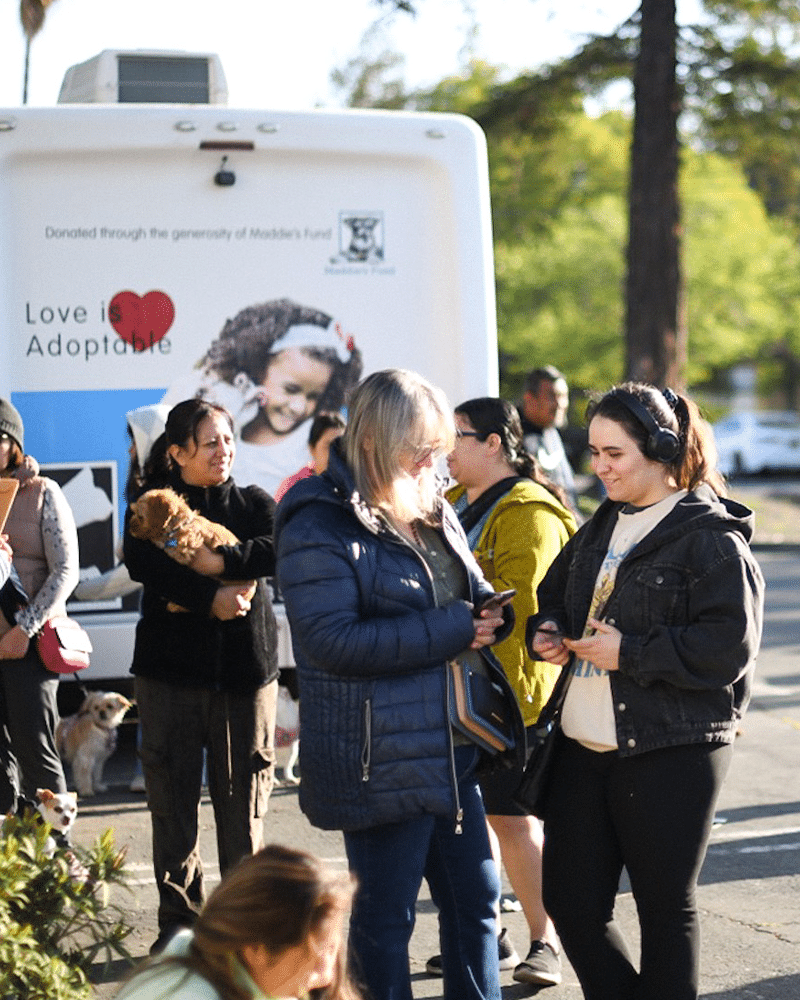 A group of people gathered outside near a mobile pet clinic. Two women converse while one holds a small dog, and several dogs are visible in the background with a promotional vehicle featuring pet adoption messages.