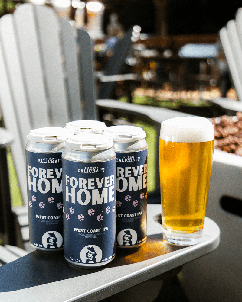 A gray wooden side table holds a four-pack of Calicraft's "Forever Home" West Coast IPA cans and a glass of beer. In the background, patio furniture and greenery are visible, suggesting an outdoor setting.