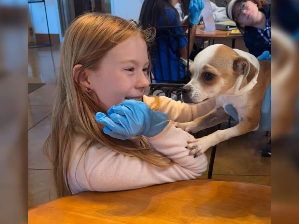 A young girl with long brown hair and blue gloves leans over a wooden table, smiling at a small tan and white dog that is reaching towards her. In the background, other children are seated at tables, and the setting appears to be an indoor space.