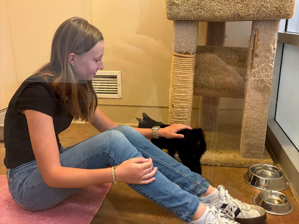 A girl wearing a black shirt and blue jeans sits on the floor beside a black rabbit in a room with a scratching post and food bowls. The girl gently pets the rabbit while sitting on a pink mat.