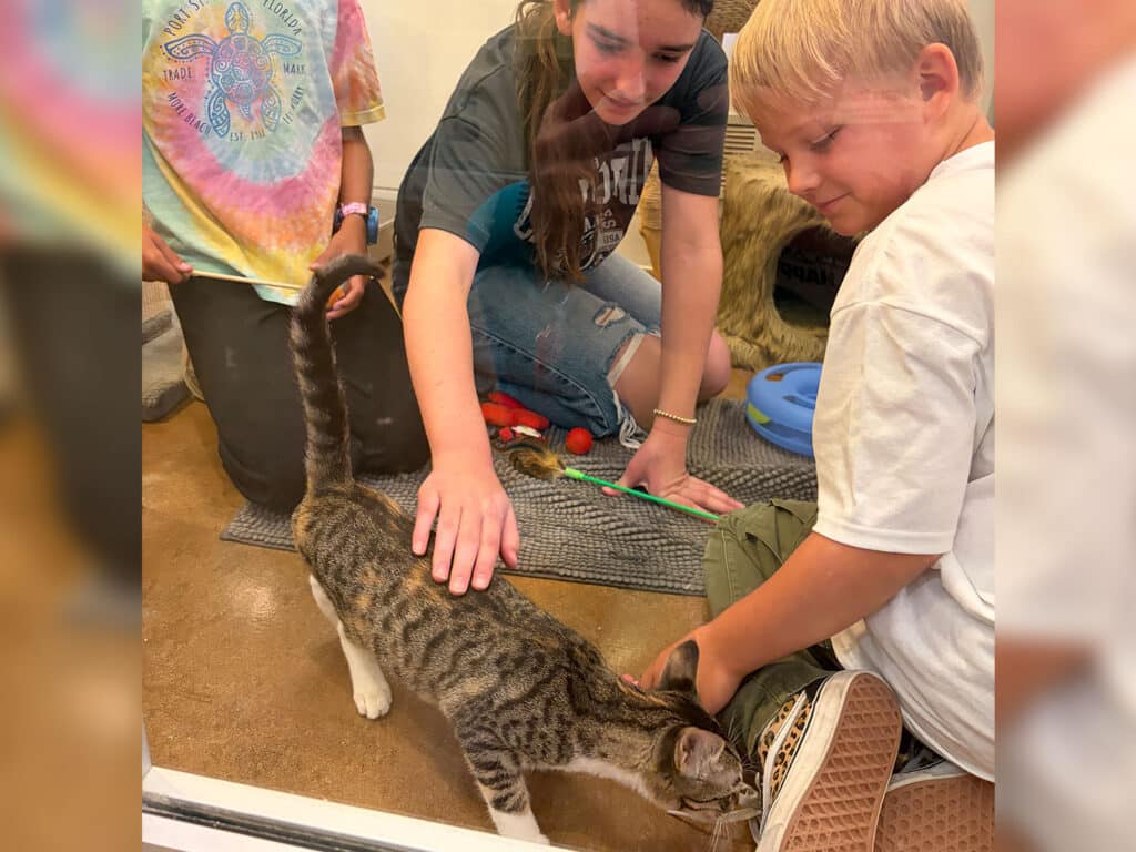 A young woman and a blonde boy pet a tabby cat on the floor indoors, with another child standing nearby in a tie-dye shirt.