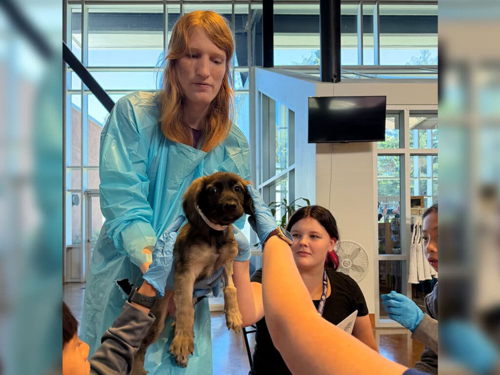 A woman in a blue protective gown holds a small puppy while children in gloves reach toward it in a bright indoor room with large windows.