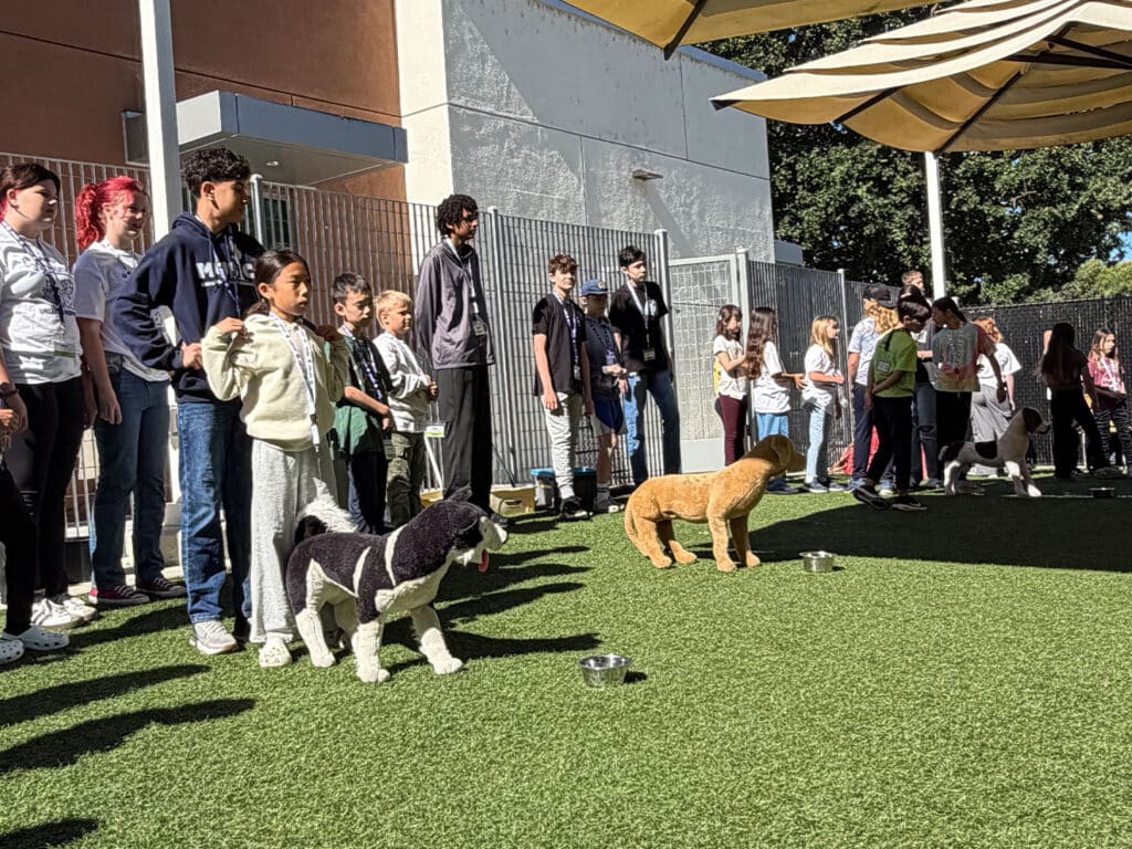 Children and adults stand in a line beside several dogs on artificial grass under striped shade sails, with metal water bowls in front.