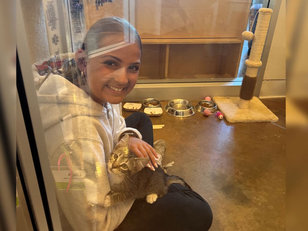 A young girl wearing a white hoodie sits on the floor, holding a gray kitten in her lap. She is inside a pet adoption room, with food bowls and toys visible around her, including a scratching post in the background.