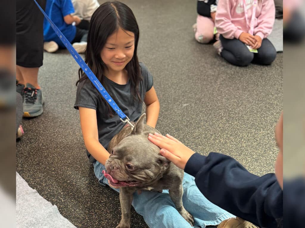A young girl with long black hair smiles while sitting on the floor, gently petting a gray French Bulldog on a leash. Other children are visible in the background, sitting and watching the interaction.