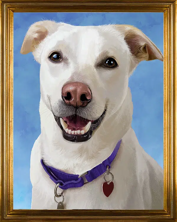 A framed portrait of a smiling white dog with a purple collar, featuring a pink nose and expressive eyes. The background is a soft blue, enhancing the dog's friendly appearance. This image relates to the Joybound Board of Directors.