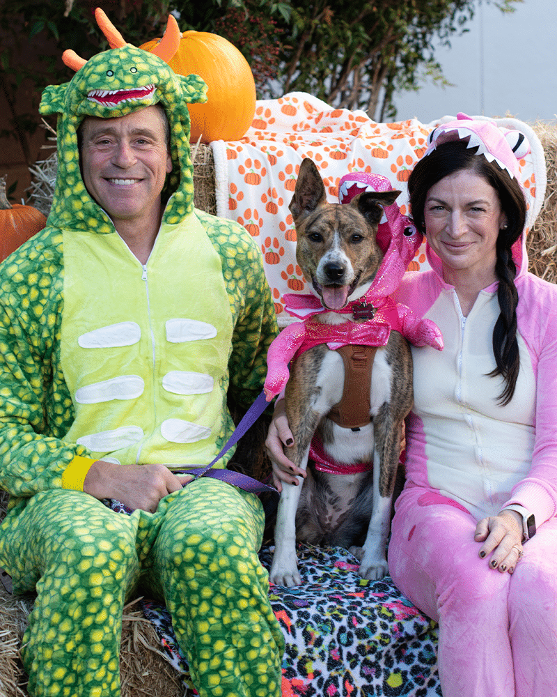 A man in a green dinosaur onesie and a woman in a pink unicorn onesie sit on hay bales with a dog wearing a pink costume, in front of a backdrop with pumpkins and a decorative pet-friendly setting.