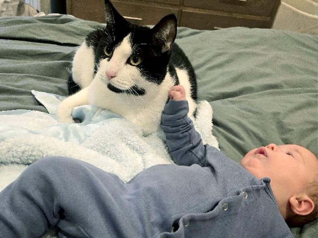 A black-and-white cat sits beside a baby lying on a bed with a light blue blanket and blue onesie.
