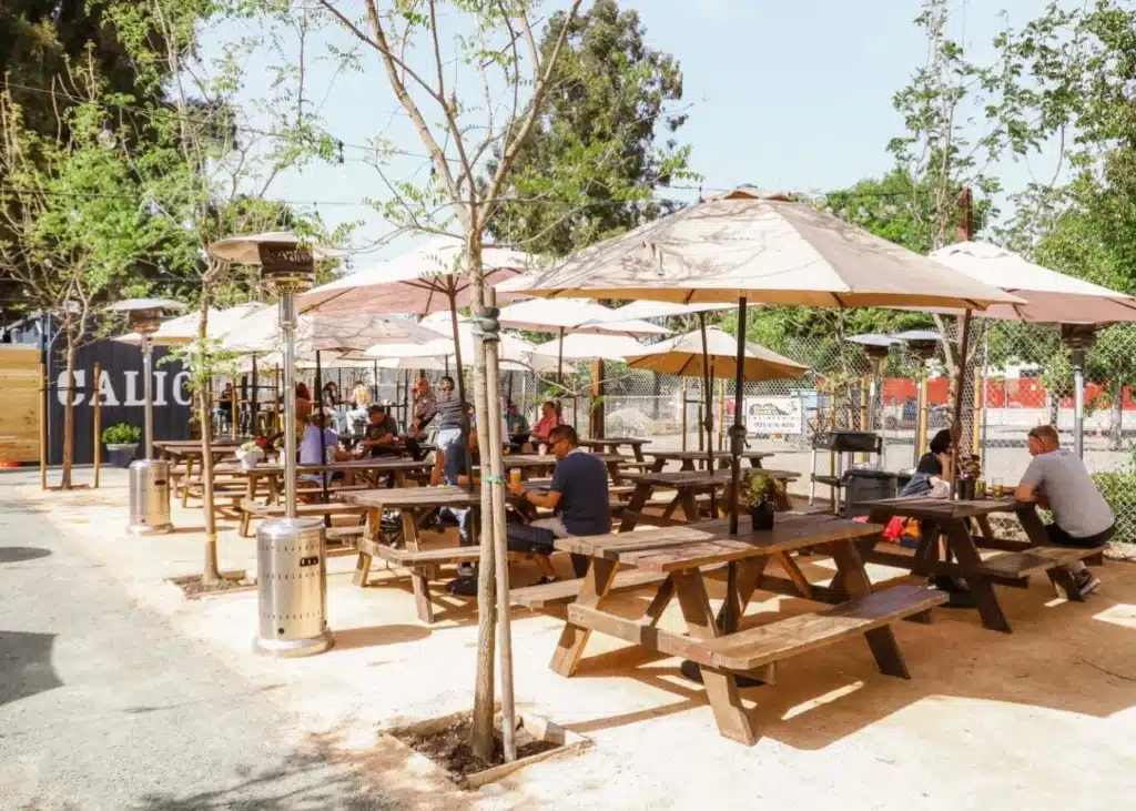 An outdoor seating area with wooden picnic tables, shaded by large umbrellas. Several patrons are seated at the tables, enjoying their time, surrounded by young trees and a gravel pathway.