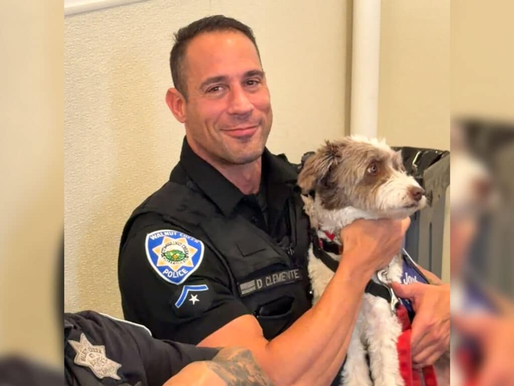 A police officer in a black uniform holds a small brown-and-white dog indoors beside a beige wall.