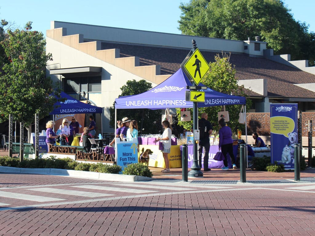 A purple Joybound outreach tent with “UNLEASH HAPPINESS” printed on the canopy stands on a plaza, with volunteers, display tables, and a pedestrian crossing sign in front of nearby buildings.