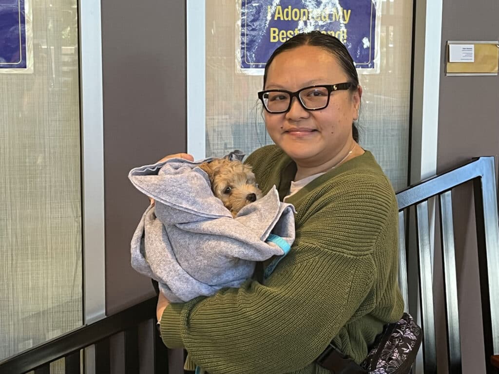 A woman wearing glasses and a green sweater holds a small dog wrapped in a gray blanket, with a pet adoption sign and glass doors in the background.
