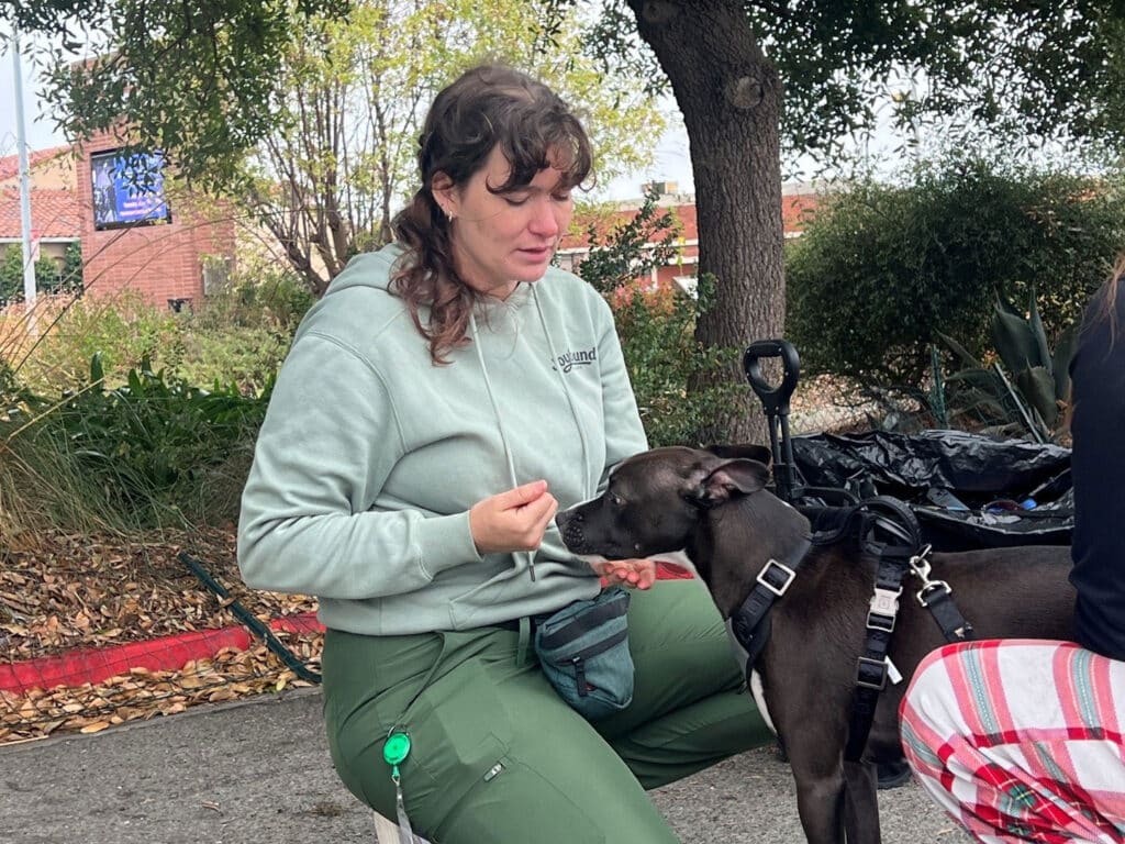 A woman in a mint green hoodie and green pants kneels outdoors, feeding a black dog on a leash beside a tree and garden path.