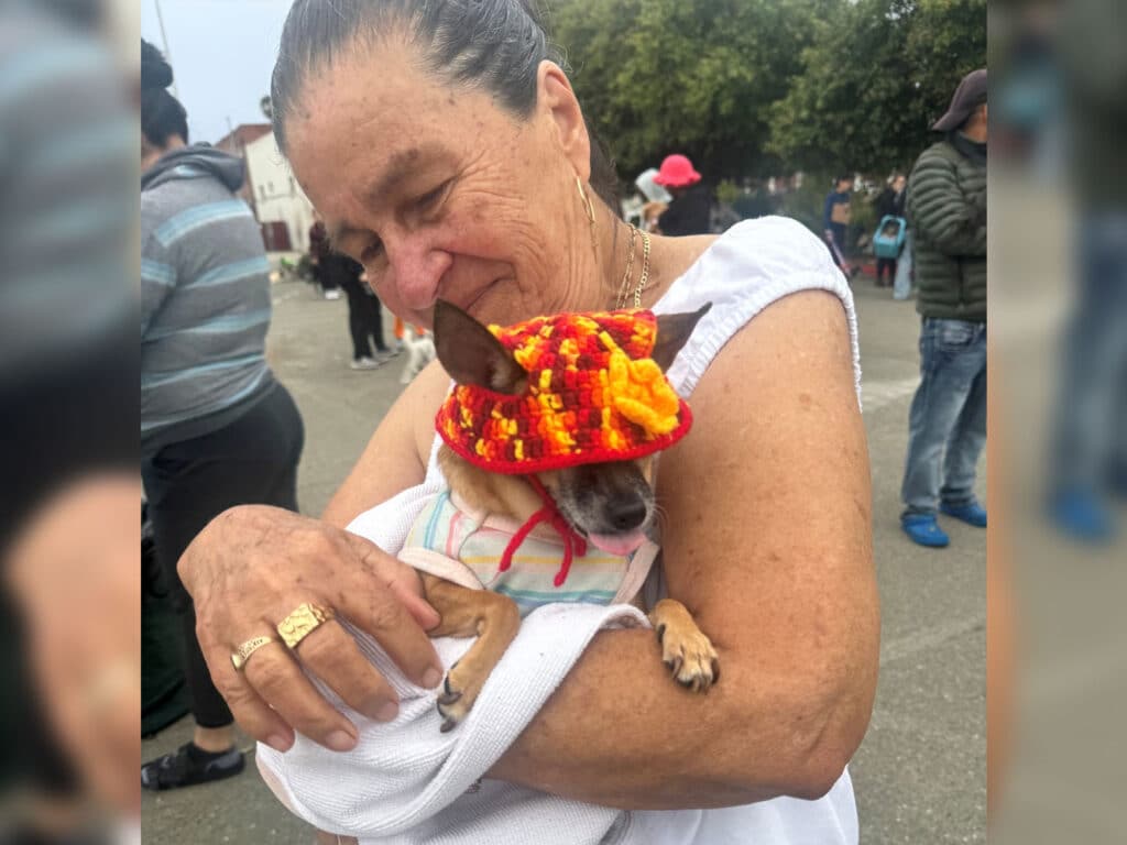 A woman in a white top holds a small dog wrapped in a white towel and wearing a red-and-yellow knit hat, with people and trees in the background.
