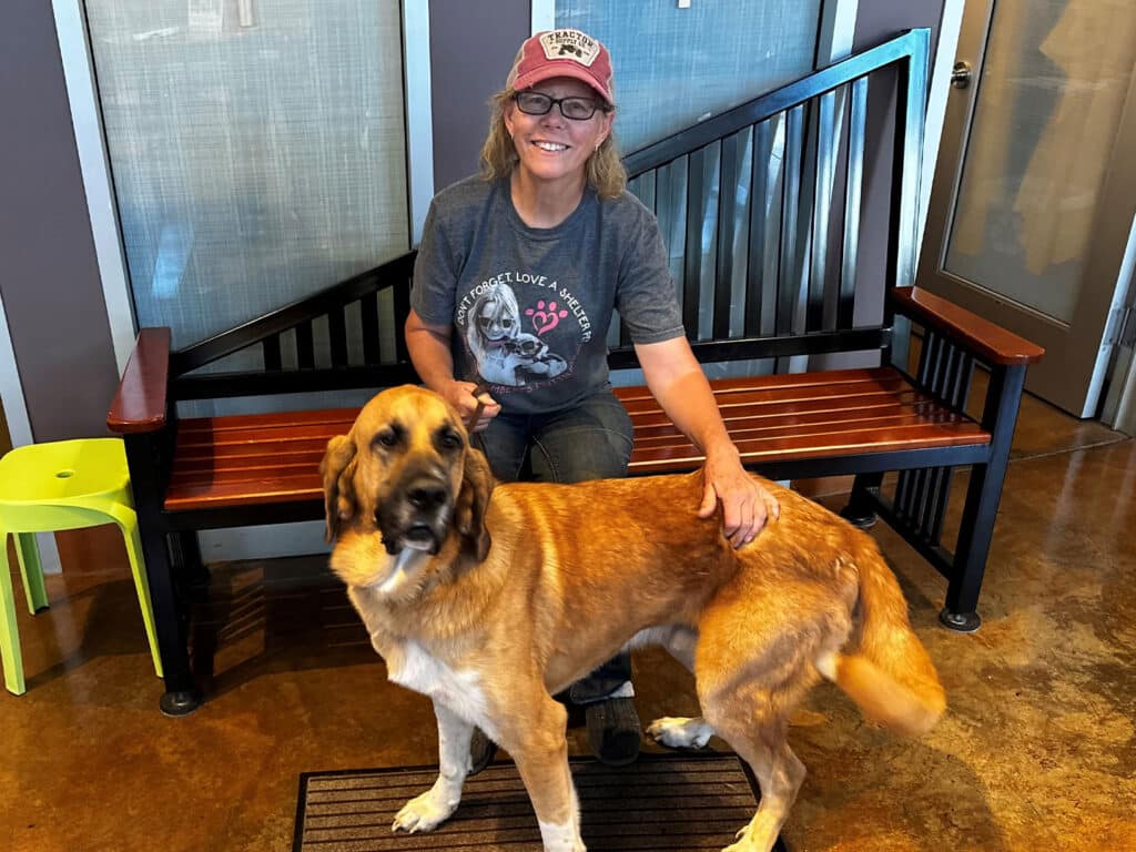 A woman in a red cap and glasses sits on a wooden bench beside a large tan-and-white dog in a lobby with metal railings and a small green stool.