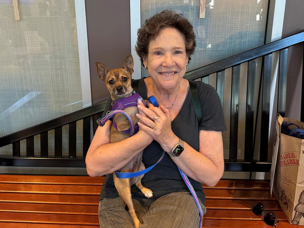A woman in a black shirt holds a small Chihuahua mix in a purple harness while sitting on a wooden bench indoors.