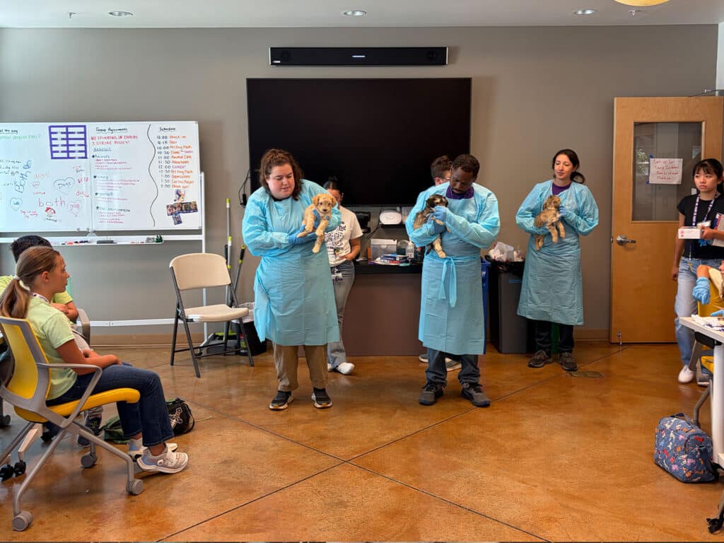Four people in blue protective gowns hold small puppies in a classroom, with seated children, a whiteboard, and a large wall-mounted screen in the background.