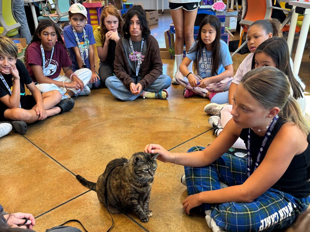 A girl petting a tabby cat while several children sit in a circle on the floor of a classroom-like room with chairs and tables in the background.