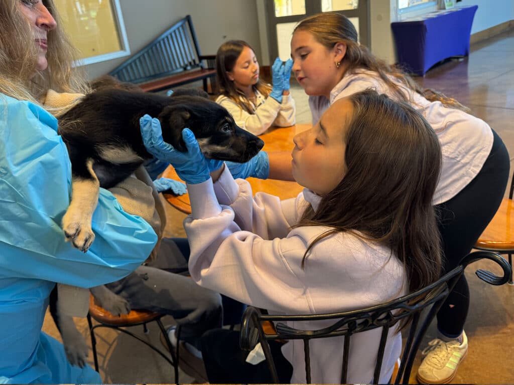 Children in blue gloves gently hold a black-and-white puppy indoors, with other kids seated nearby on a wooden bench.