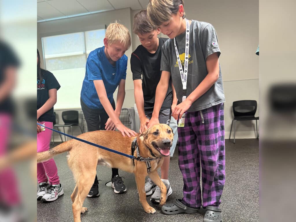 Three boys pet a tan dog on a leash in a room with chairs and large windows.