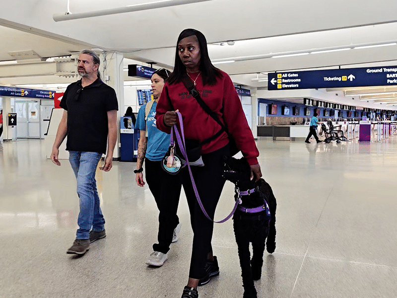 A woman in a red sweatshirt walks through an airport terminal with a black service dog on a purple leash, while two people walk behind her near directional signs.