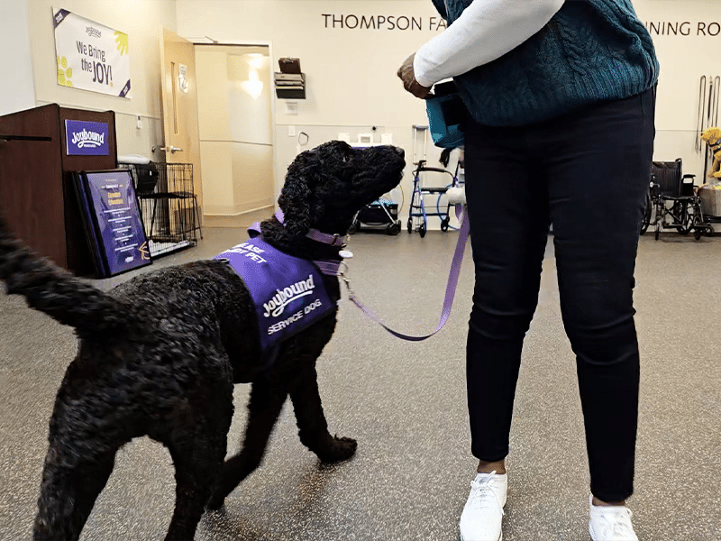A black service dog wearing a purple Yappy Dogs vest looks up at a standing handler holding the leash in an indoor hallway with signs and wheelchairs in the background.