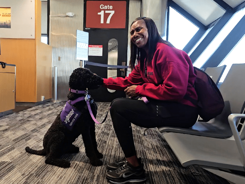 A woman in a red sweatshirt sits in an airport gate area petting a black service dog wearing a purple harness, with a Gate 17 sign and large windows in the background.