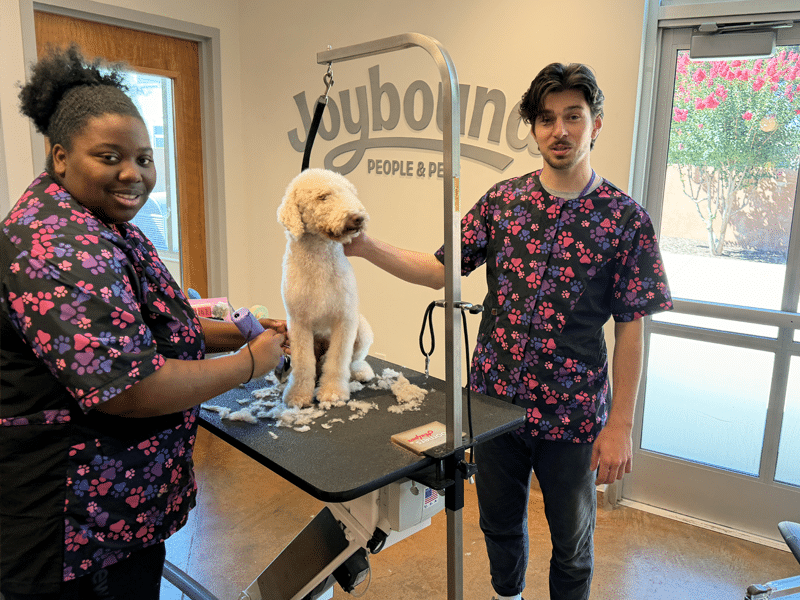 Two groomers in matching floral scrubs trim a cream-colored dog on a grooming table, with a metal grooming arm and loose fur visible in a salon.