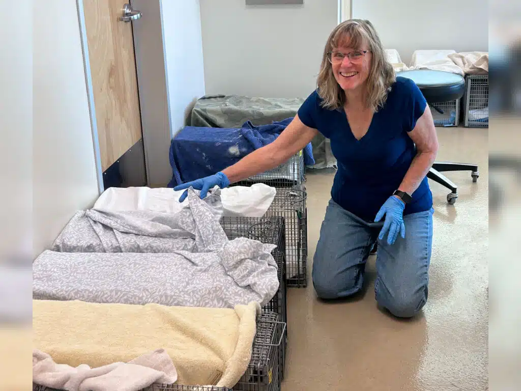 A woman in blue gloves kneels beside wire crates lined with blankets in a clinic room, with more pet beds in the background.
