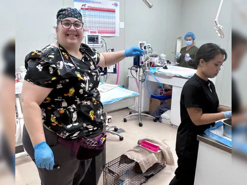 A veterinary staff member in gloves and a patterned scrub top stands in a clinic room beside a table, with a cat in a cage on the floor and another clinician working in the background.