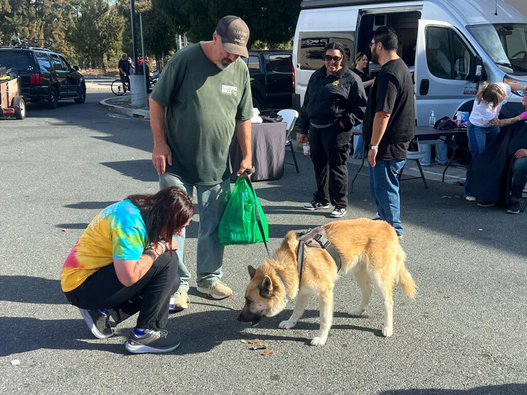 A tan dog on a harness eats food from the pavement while a crouching woman in a tie-dye shirt and a man holding a green bag stand beside it, with parked vans in the background.