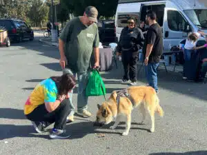 A tan dog on a harness eats food from the pavement while a crouching woman in a tie-dye shirt and a man holding a green bag stand beside it, with parked vans in the background.