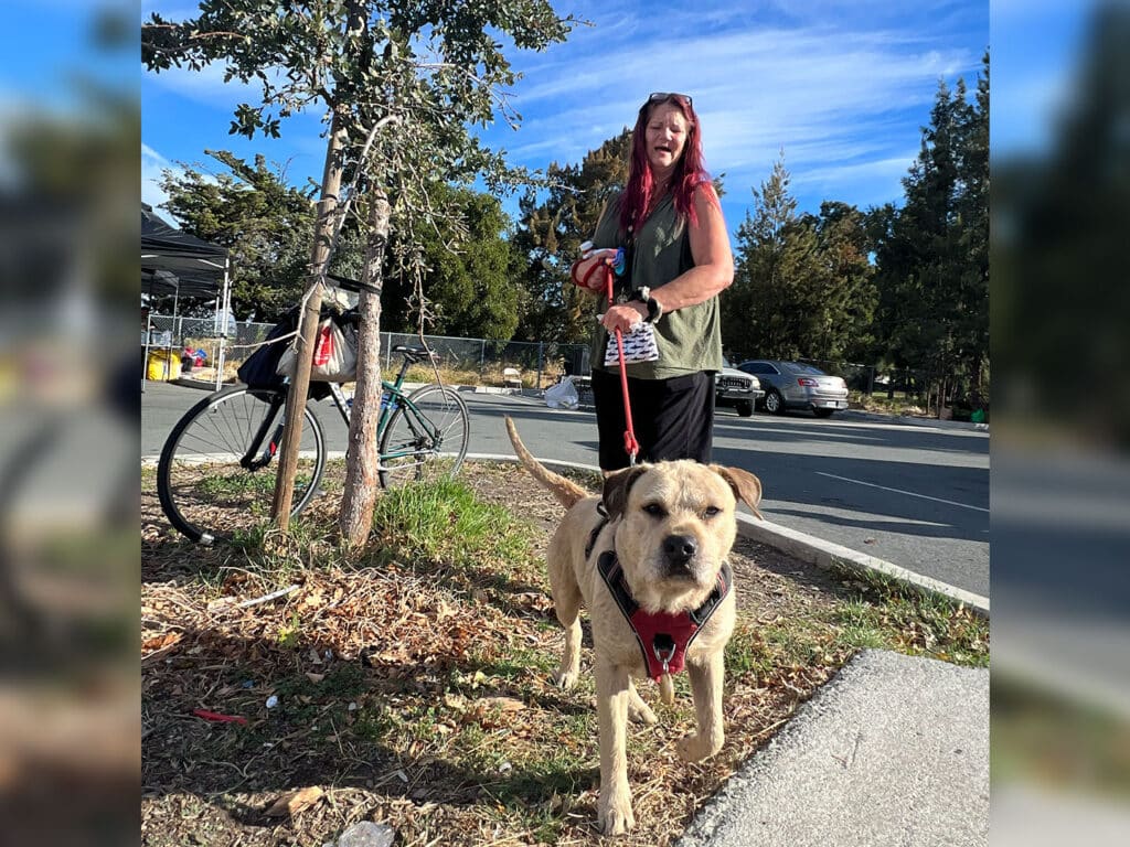 A woman with red hair stands on a sidewalk holding a leash as a tan dog in a red harness walks toward the camera, with a bicycle, trees, and parked cars in the background.