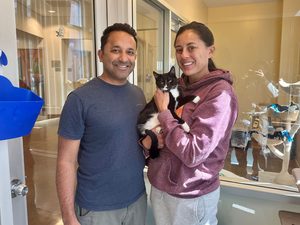 A man and woman stand indoors holding a black-and-white cat, with glass walls and pet kennels in the background.