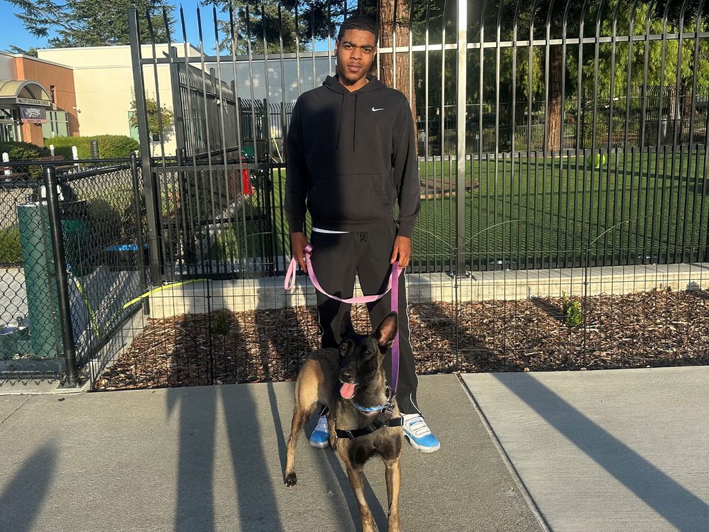 A man in a black tracksuit holds a pink leash beside a German Shepherd on a sidewalk, with a metal fence and trees in the background.