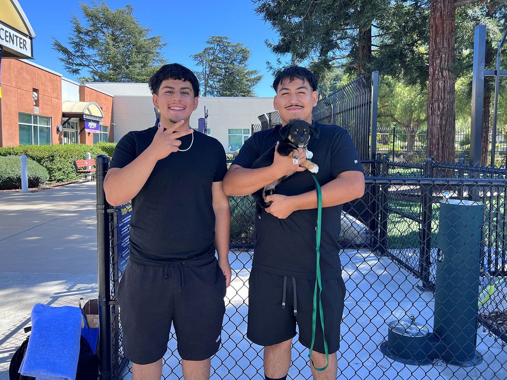 Two young men in black clothing stand beside a chain-link fence, with one holding a small black-and-tan puppy on a green leash outside a building.
