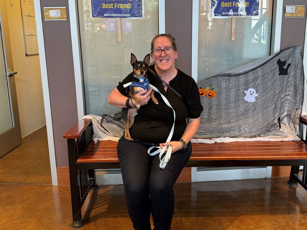 A woman wearing glasses sits on a bench holding a small dog in a blue harness, with a gray Halloween-themed blanket and Best Friend! signs behind her.