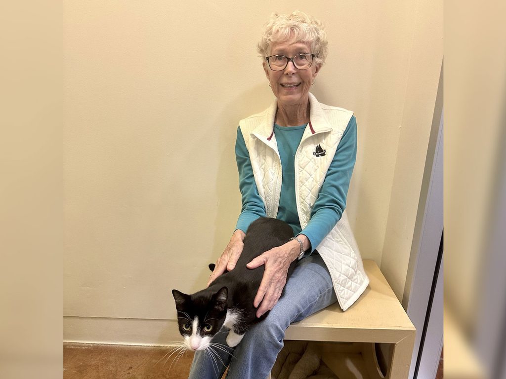 An older woman with glasses sits on a wooden bench petting a black-and-white cat in a beige room.