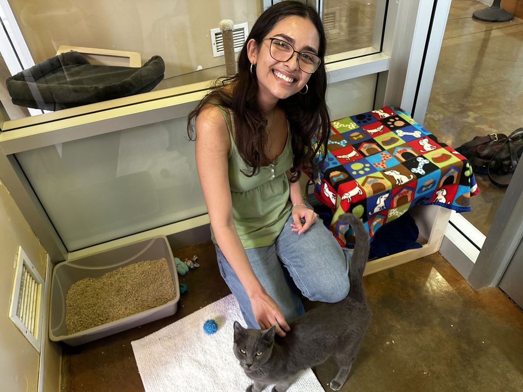 A smiling woman with glasses kneels beside a gray cat on a white mat in a pet adoption room, with a colorful blanket-covered cat bed and litter box nearby.