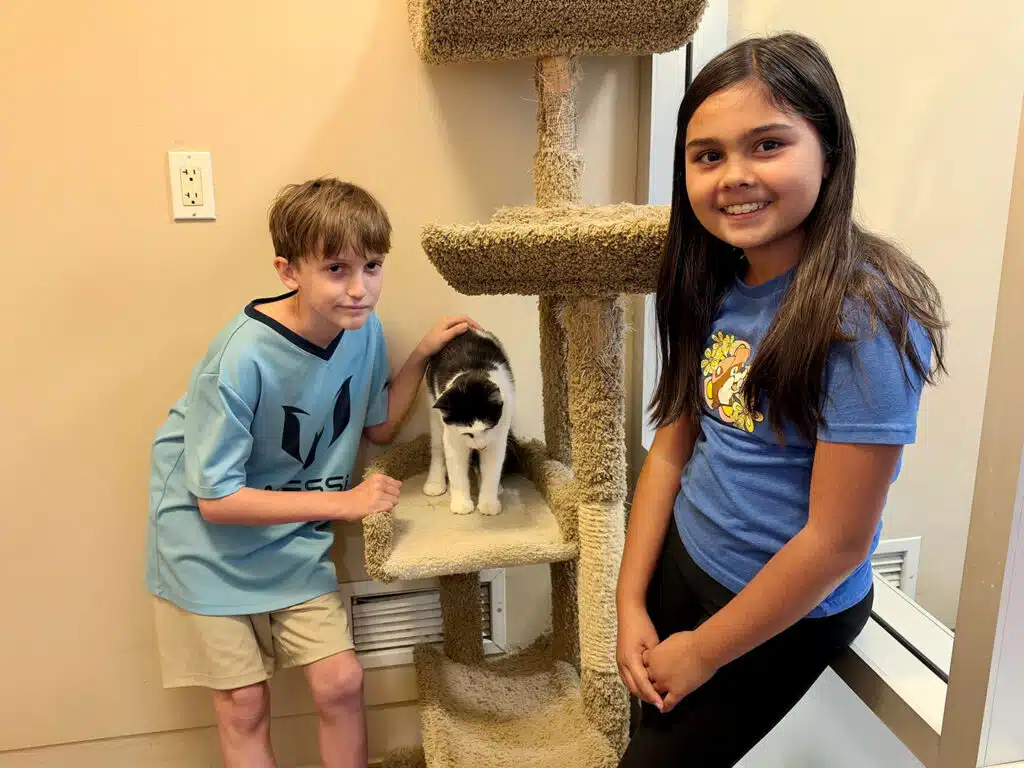A boy and a girl stand beside a black-and-white cat on a beige carpeted cat tree in a room with tan walls.