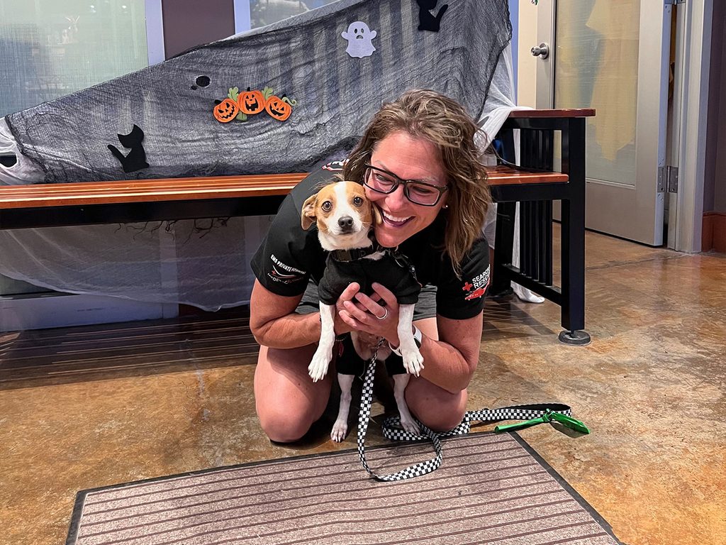 A woman in glasses kneels and holds a small black-and-white dog wearing a black shirt in a pet shelter lobby, with Halloween decorations and a doorway in the background.