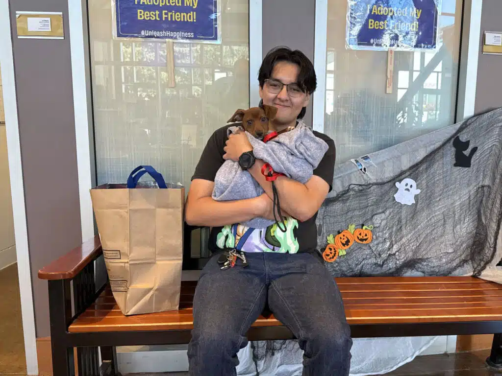 A man sits on a wooden bench holding a small brown dog wrapped in a gray blanket, with a paper bag beside him and pet adoption signs in the background.